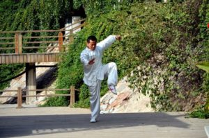 Read more about the article Was macht mein Verein? – Teil 3: Shuai Jiao Kung Fu