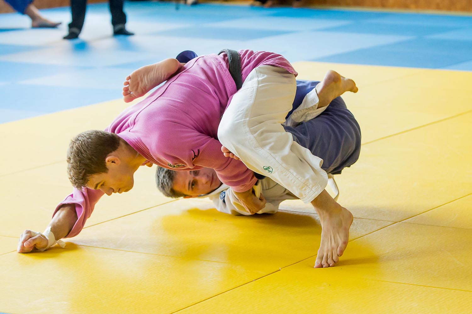 Read more about the article Judo @ Home