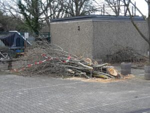 Read more about the article Kleinholz beim Dojo – von Strichen und Punkten