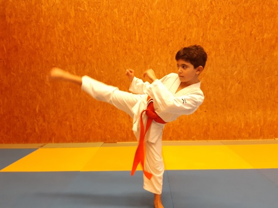 Mehr über den Artikel erfahren Enzo vertritt die Karate-Abteilung beim Odenwaldcup