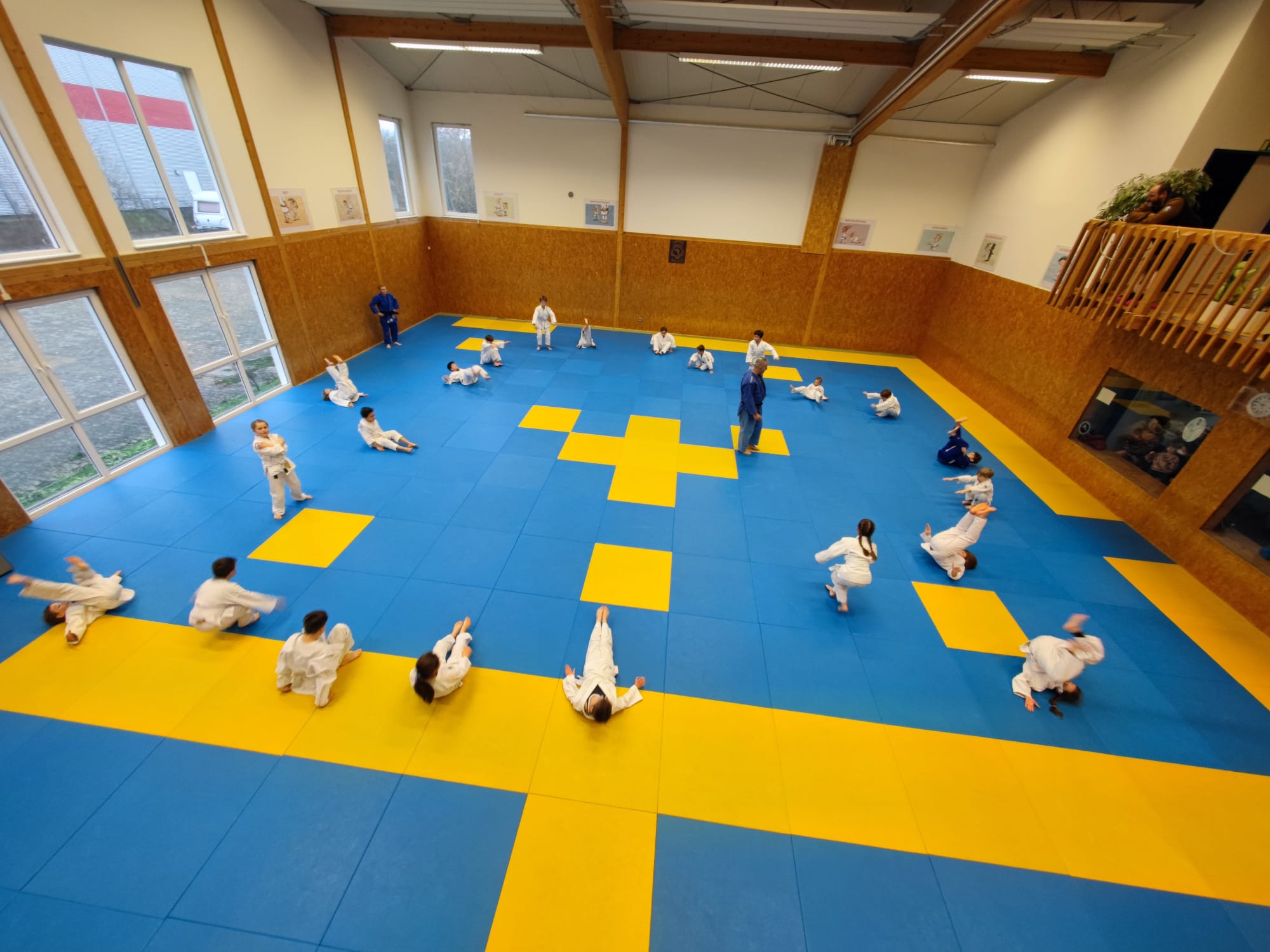 Read more about the article 22 neue Weiß-Gelbgurte im Judo!