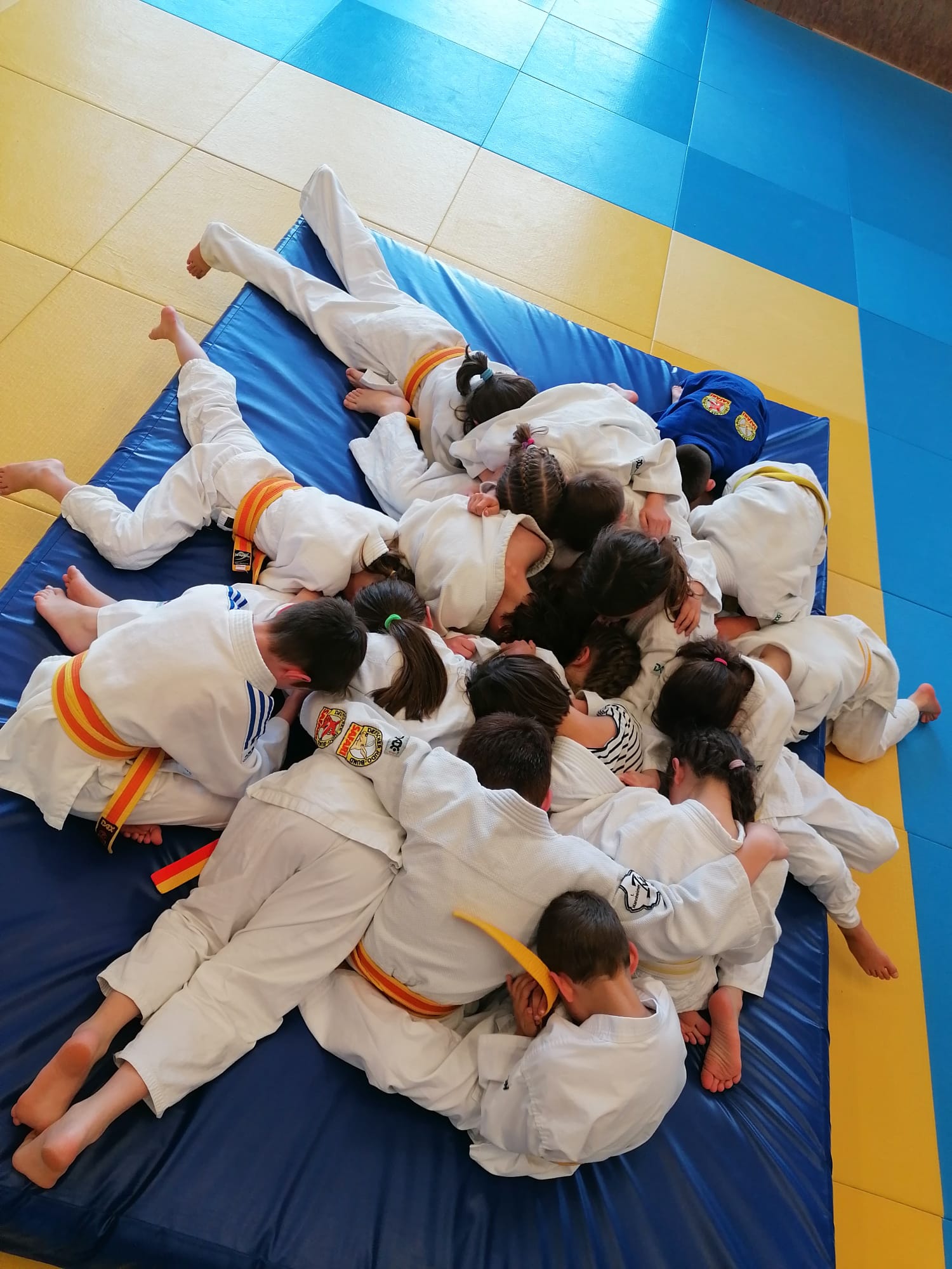 Du betrachtest gerade Neues Judo-Kleinkindtraining ab Februar