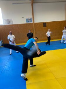 Mehr über den Artikel erfahren Seminare im Shuai Jiao mit italienischem Präsidenten