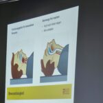 Erste-Hilfe-Fortbildung 2026 für Interessierte im Mai